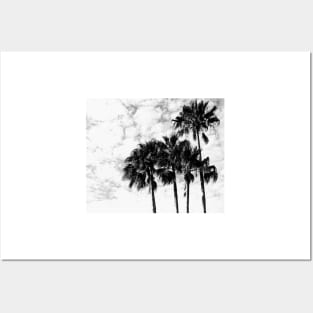 Palms Posters and Art